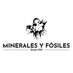 minerales-y-fosiles