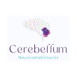 cerebellum-neurorehabilitacion