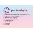plantxa-digital