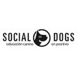 social-dogs-mallorca