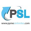 Pymesinlimites_logo.jpg