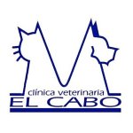 clinica-veterinaria-el-cabo---hospital-veterinario-urgencias-24h-alicante