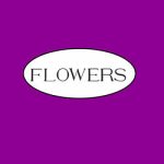 floristeria-flowers