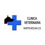 clinica-veterinaria-martin-molina