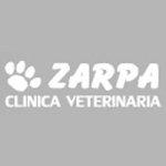 clinica-veterinaria-zarpa