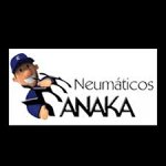 neumaticos-anaka