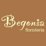 floristeria-begonia