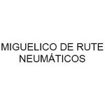 miguelico-de-rute-neumaticos