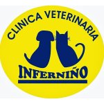 clinica-veterinaria-infernino