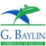 g-baylin-correduria-de-seguros-grupo-lacao-investment-inc-s-l