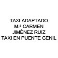 taxi-adaptado-ma-carmen-jimenez-ruiz