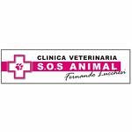 clinica-veterinaria-s-o-s-animal-fernando-lucchesi