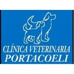 clinica-veterinaria-portacoeli-nervion-sevilla