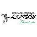 allium-floristeria