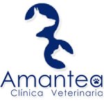 clinica-veterinaria-amantea
