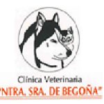 clinica-veterinaria-nuestra-senora-de-begona