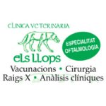 clinica-veterinaria-els-llops