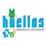 consultorio-veterinario-huellas