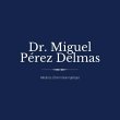 dr-miguel-perez-delmas