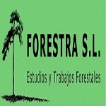 forestra