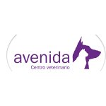 centro-veterinario-avenida