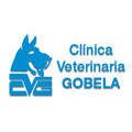 clinica-veterinaria-gobela