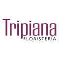 floristeria-tripiana