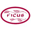 ficus-floristas
