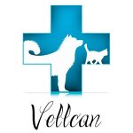vellcan-hospital-veterinario