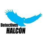 detectives-halcon