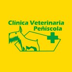 clinica-veterinaria-peniscola