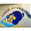 clinica-veterinaria-elu