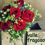 floristeria-valle-fragoso