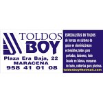 toldos-boy
