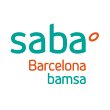 parking-saba-bamsa-vilardell-barcelona