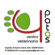 centro-veterinario-cuatro-patas
