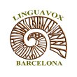 agencia-de-traduccion-en-barcelona-linguavox