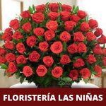 floristeria-las-ninas