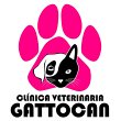 clinica-veterinaria-gattocan