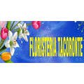 floristeria-tacoronte