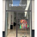 david-noalia-gallery