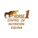 horse1-centro-de-nutricion-equina