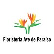 floristeria-ave-de-paraiso