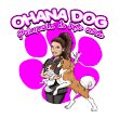 ohana-dog-peluqueria-canina-de-bajo-estres