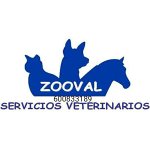 zooval-centro-veterinario-en-valverde---juan-aurelio