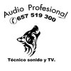 audio-profesional