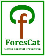 forescat