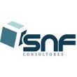 snf-consultores