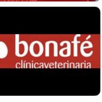 clinica-veterinaria-bonafe