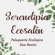 serendipia-ecosalon---peluqueria-eco-curly-don-benito